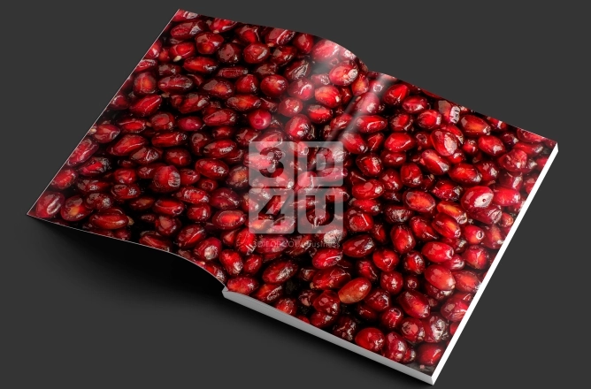 Кухонный каталог для МК «ELNA»