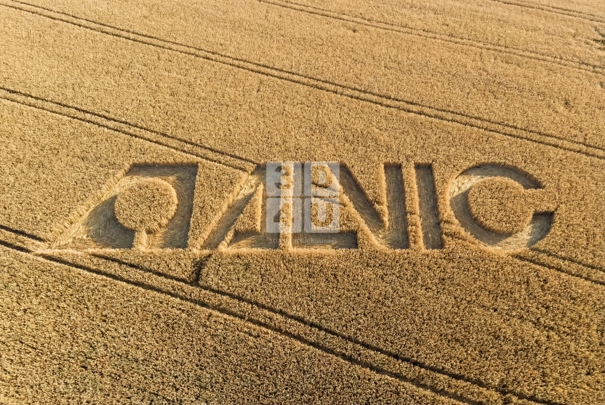 Разработка проморолика Alvic Spatt для компании «MGS»